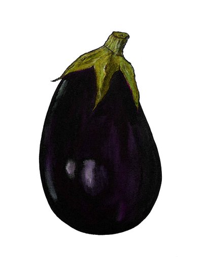 Purple Aubergine by Sarah Thompson Engels